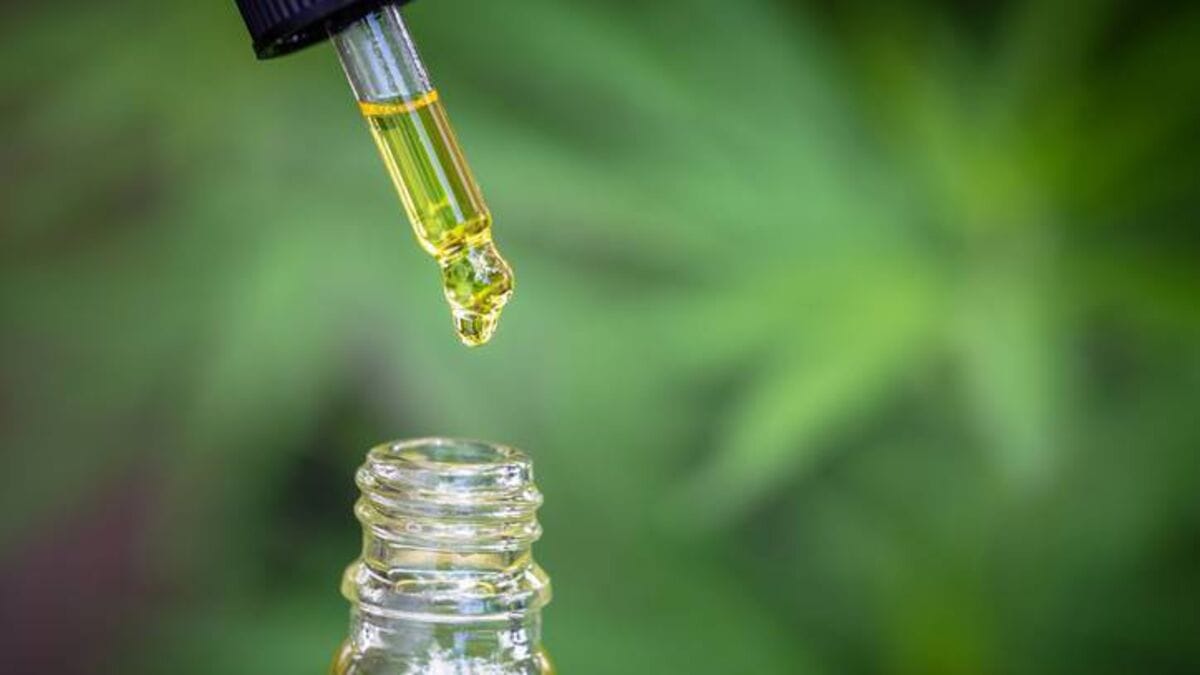 Cannabis Extracts Europe with High-THC & CBD Content